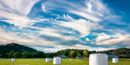silage plastic