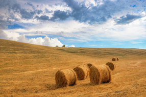 baling twine